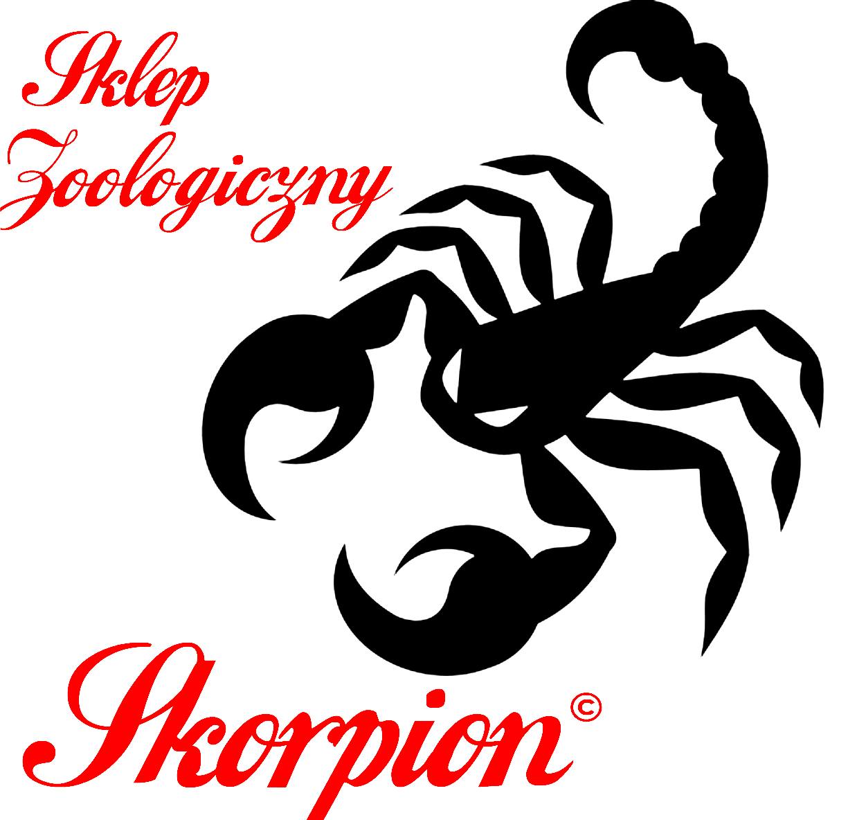 Sklep Zoologiczny Skorpion